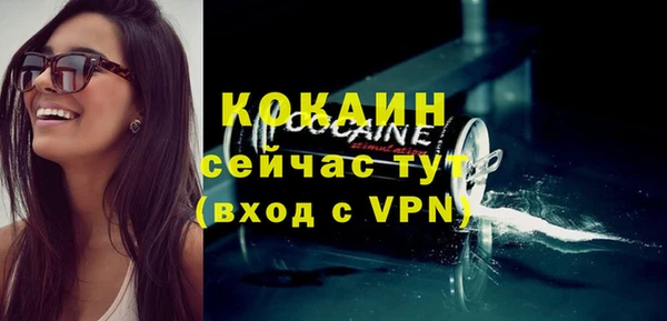 твердый Надым