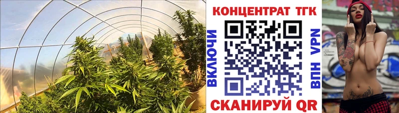 ТГК вейп купить Балтийск