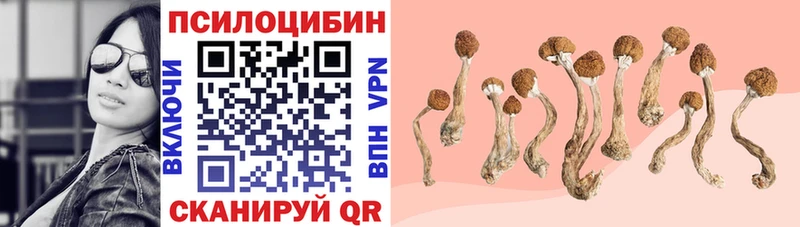 ОМГ ОМГ рабочий сайт  наркошоп  маркетплейс формула  Псилоцибиновые грибы мицелий  Балтийск 