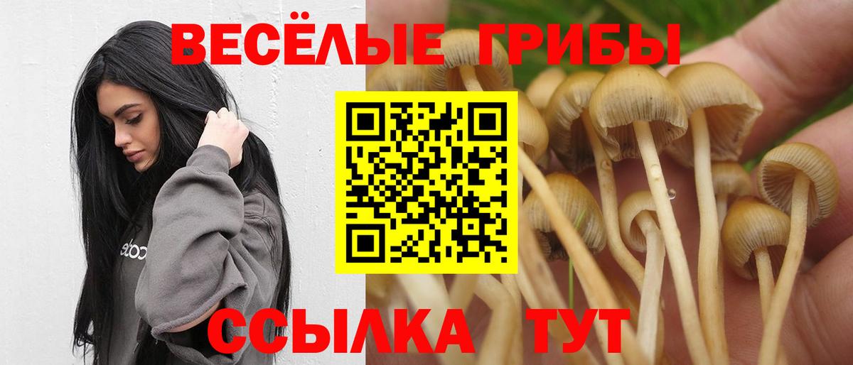 Галлюциногенные грибы Magic Shrooms Балтийск