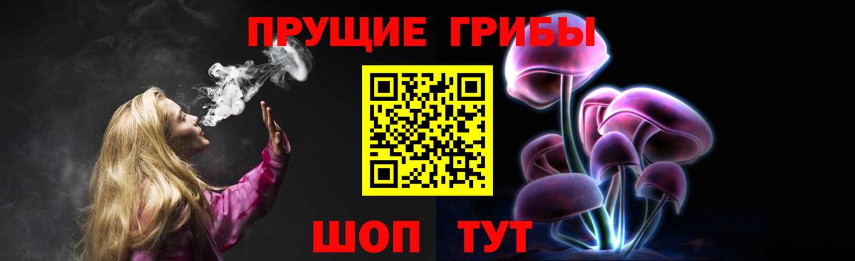 Псилоцибиновые грибы мицелий  Вход с VPN  хочу   Балтийск 